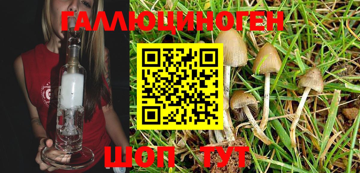 Псилоцибиновые грибы Magic Shrooms Строитель